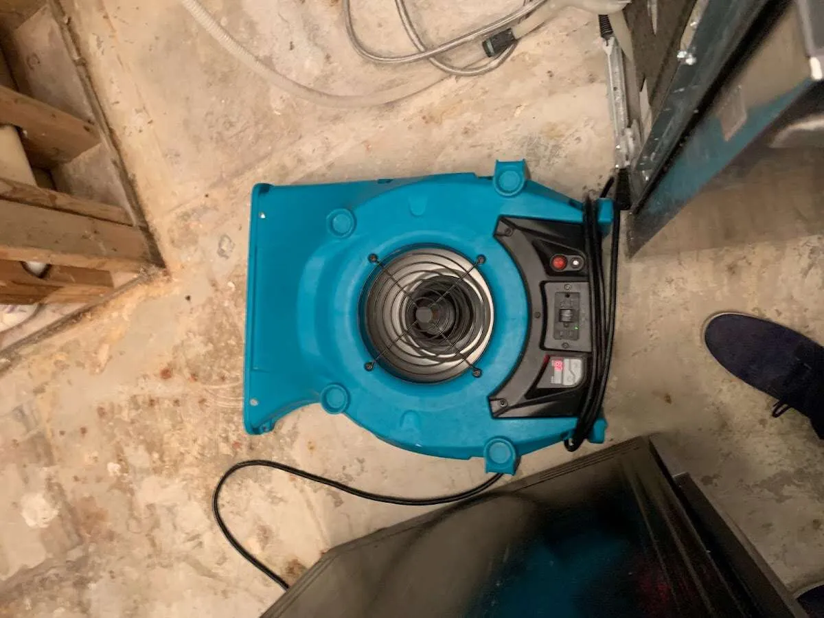 Air mover drying equipment for Mold Remediation & Removal in Atwater